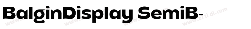 BalginDisplay SemiB字体转换 BalginDisplay SemiB字体转换